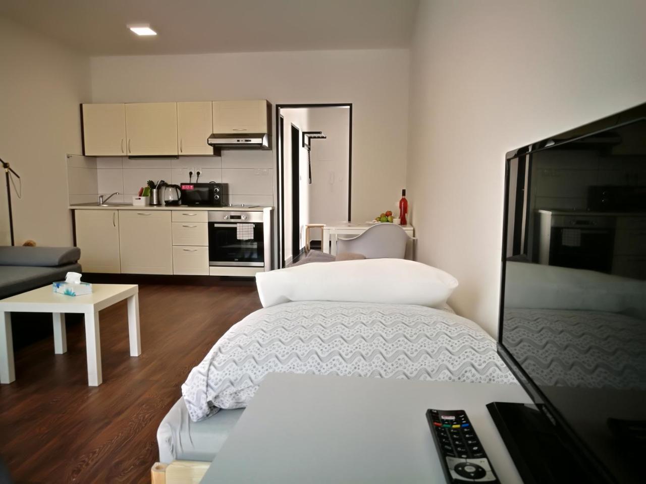 Haas Apartments Downtown With Parking Брно Екстер'єр фото