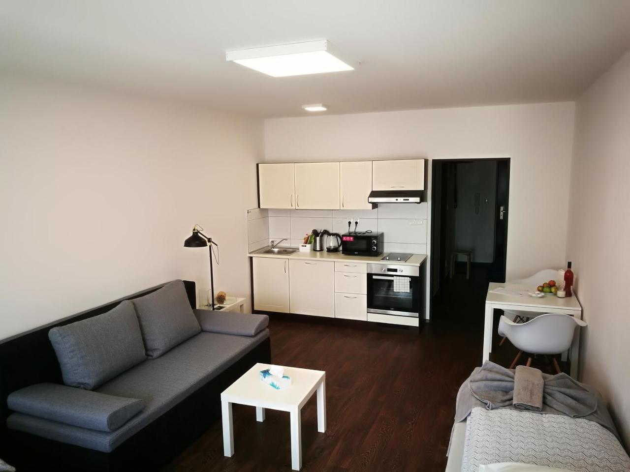Haas Apartments Downtown With Parking Брно Екстер'єр фото