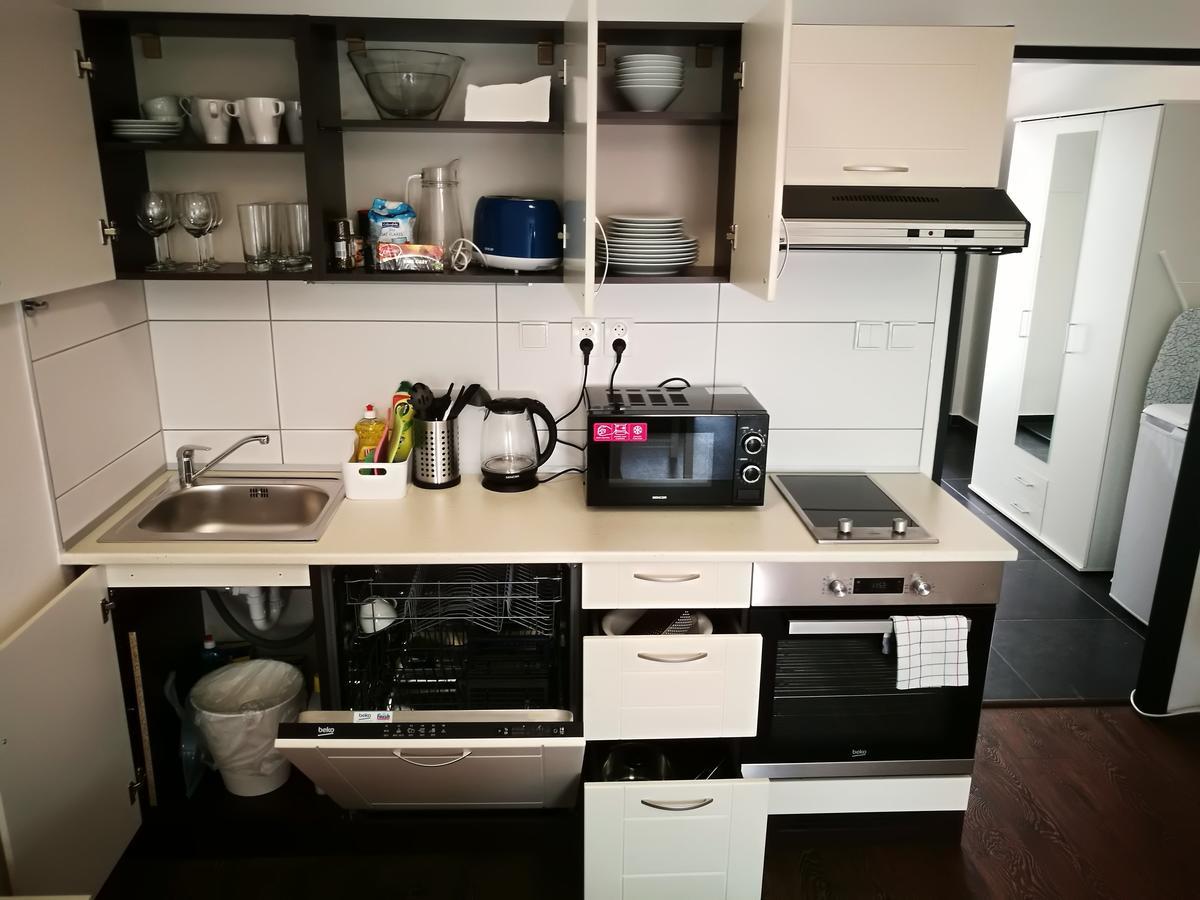 Haas Apartments Downtown With Parking Брно Екстер'єр фото