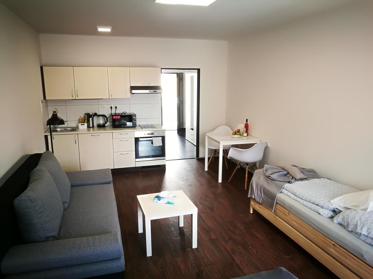 Haas Apartments Downtown With Parking Брно Екстер'єр фото